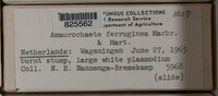 Image Associated With the Occurence